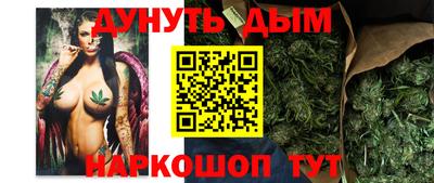 скорость Кингисепп