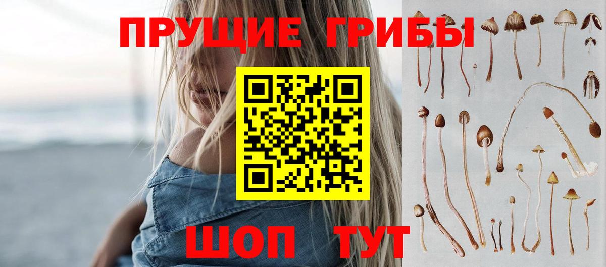продажа наркотиков  Галлюциногенные грибы GOLDEN TEACHER  Вход с VPN  Арзамас 